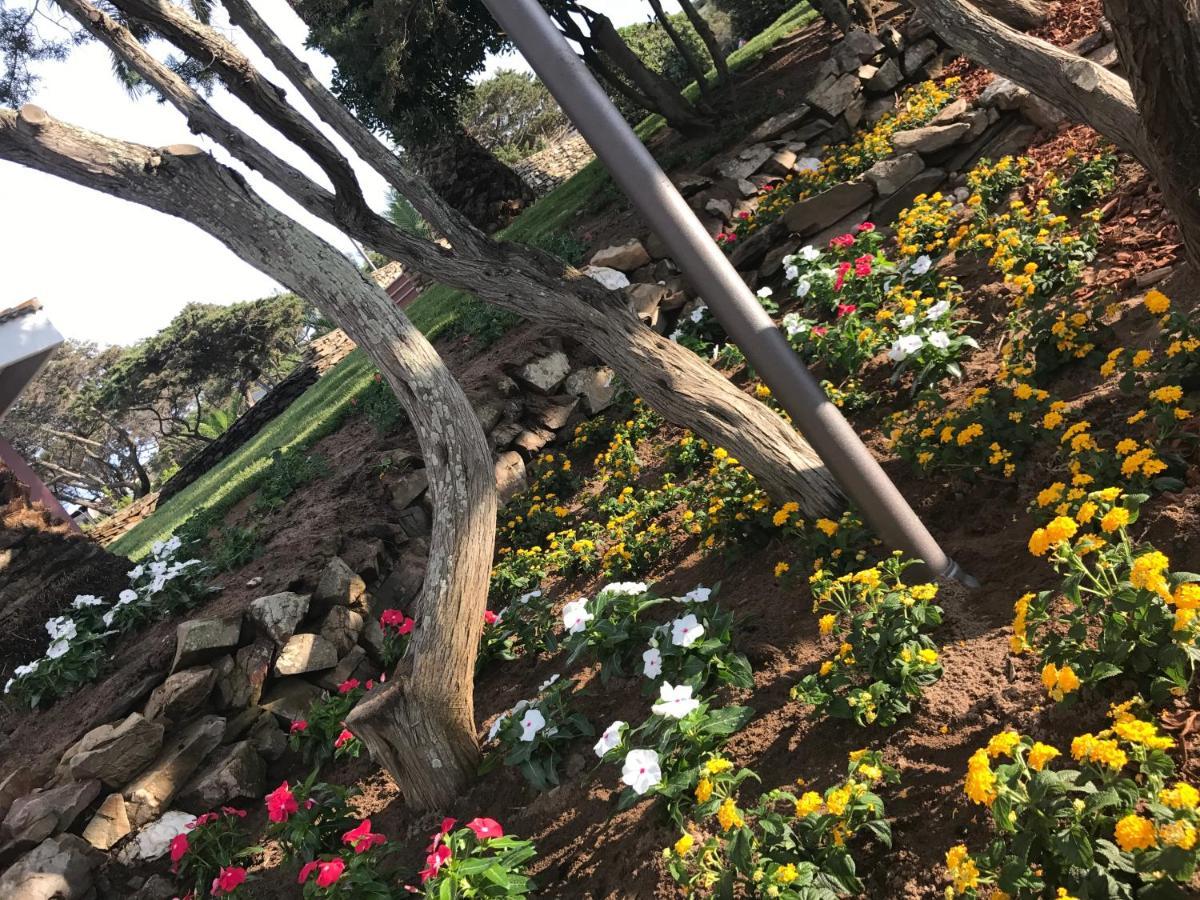 Club Esse Sporting Otel Stintino Dış mekan fotoğraf